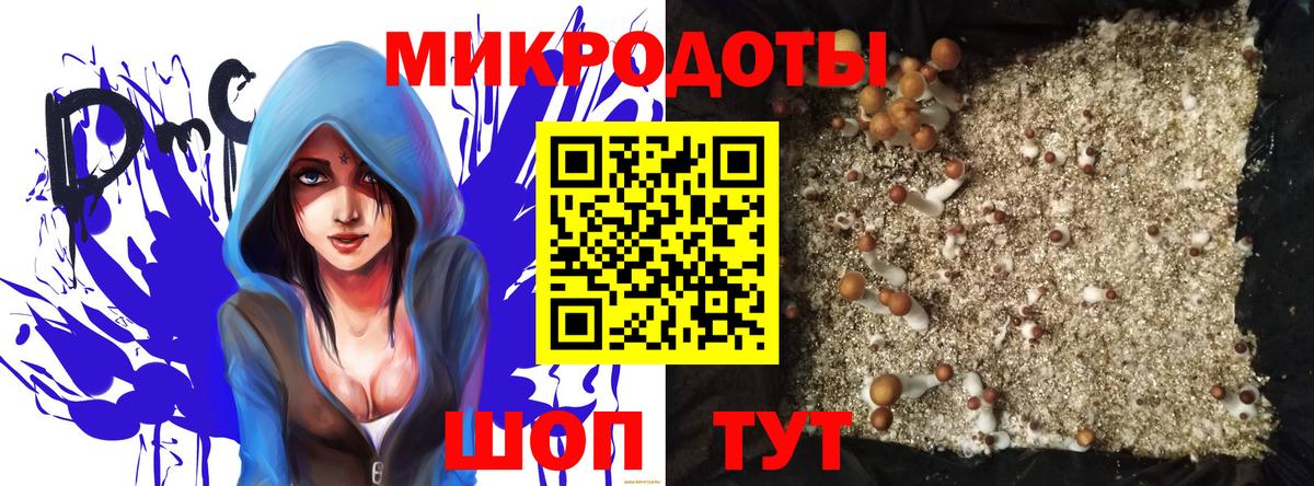 Галлюциногенные грибы Magic Shrooms Электросталь